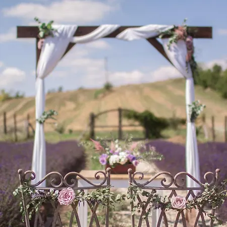 Hazai Provence 4* קפולץ'