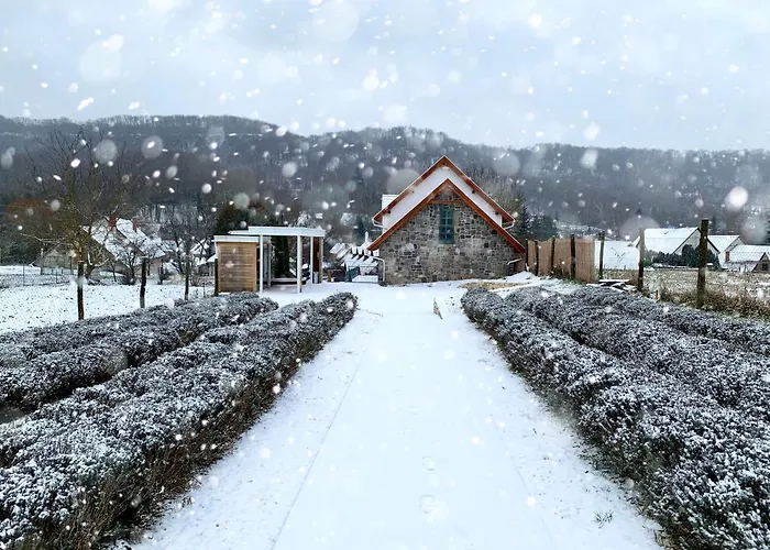 Hazai Provence Hotel 4*
